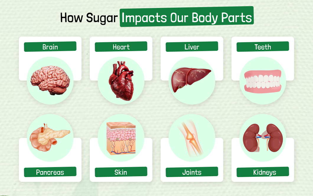 How Sugar Impacts Our Body Parts