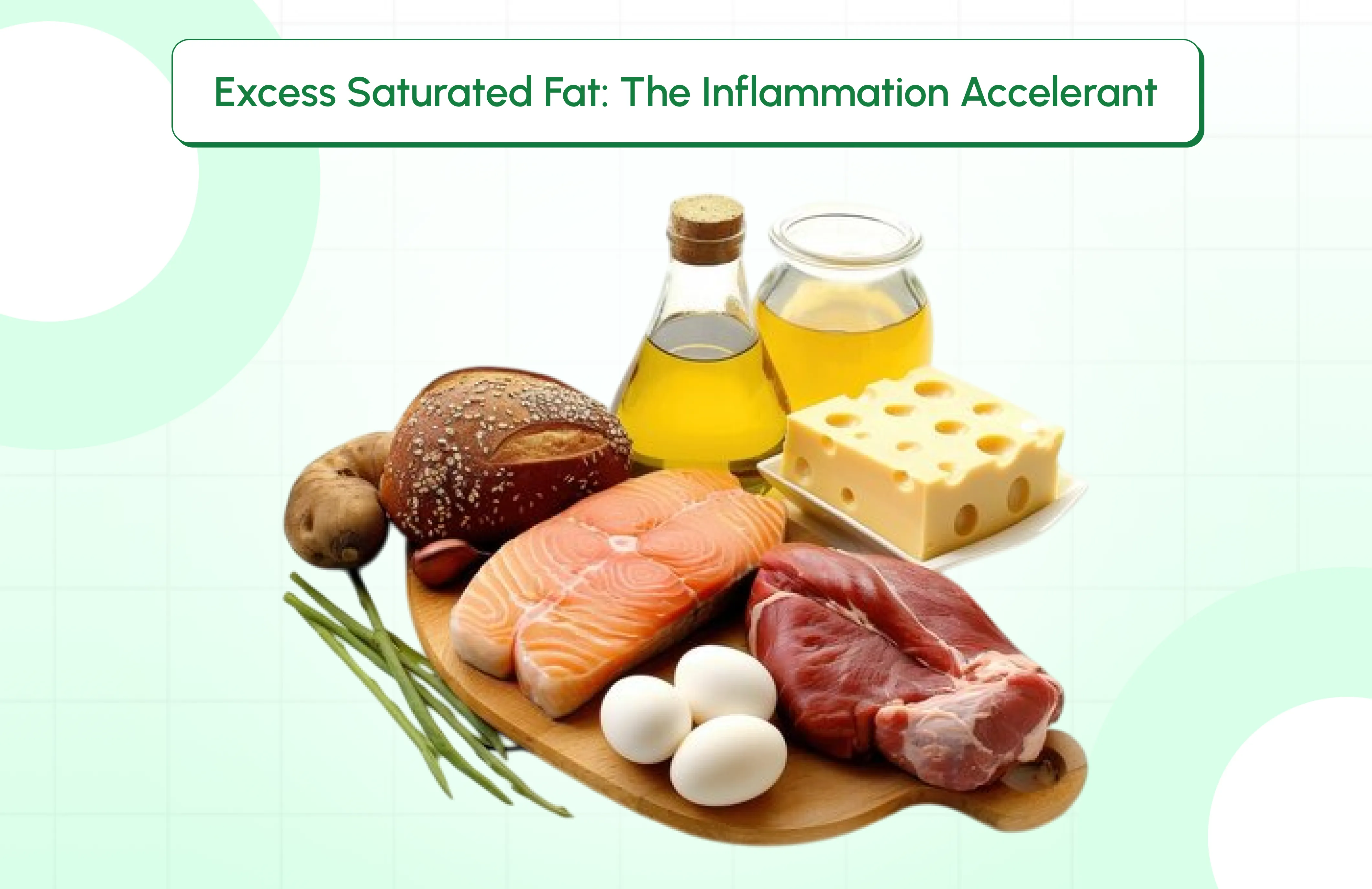 Excess Saturated Fat: The Inflammation Accelerant