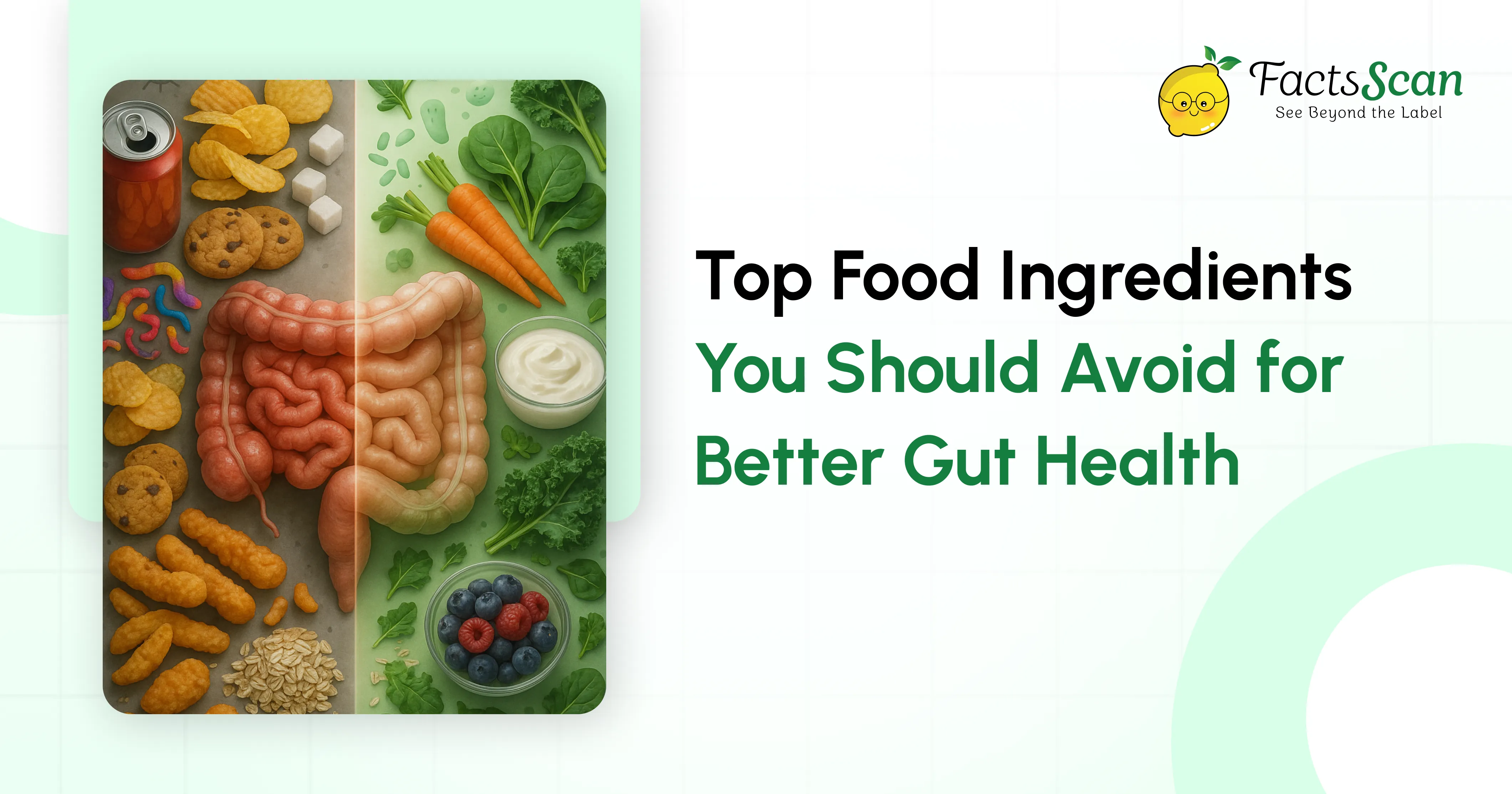 Top Food Ingredients You Should Avoid for Better Gut Health